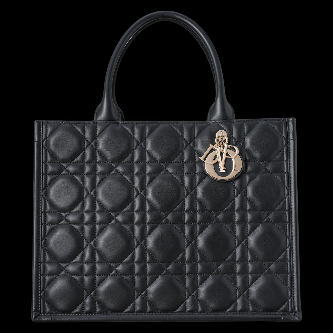 CHRISTIAN DIOR(USED)디올 레더 북토트 36